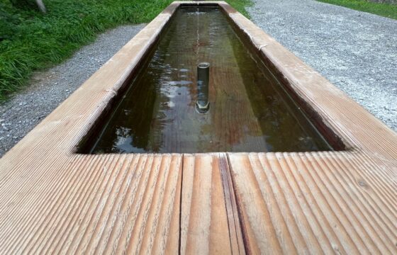 Neuer Brunnen beim Pavillon im Willbrigwald