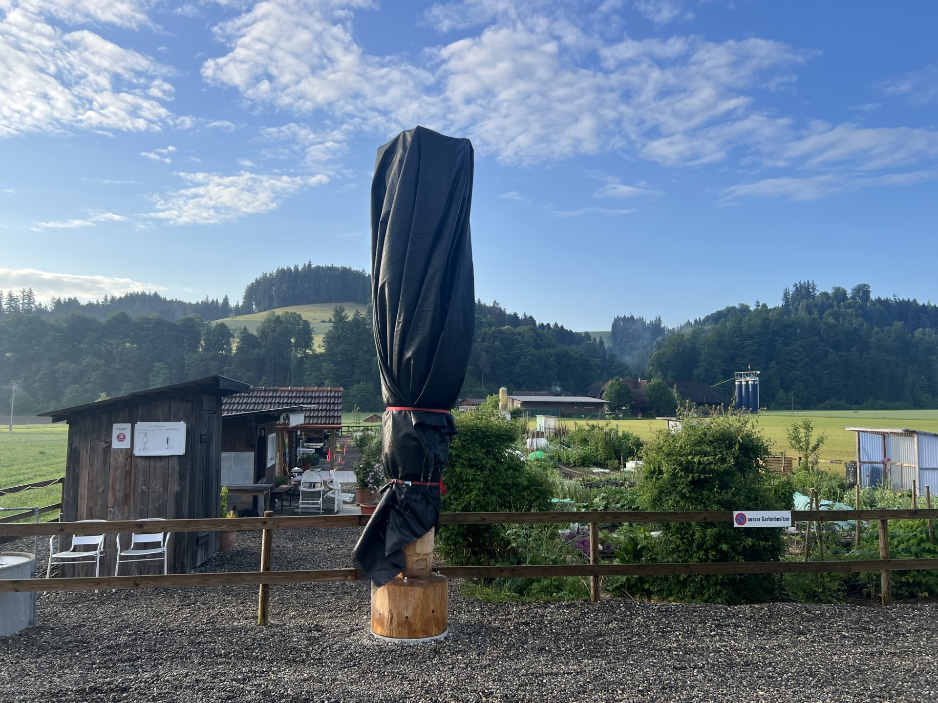 Einweihung der Riesenkarotte