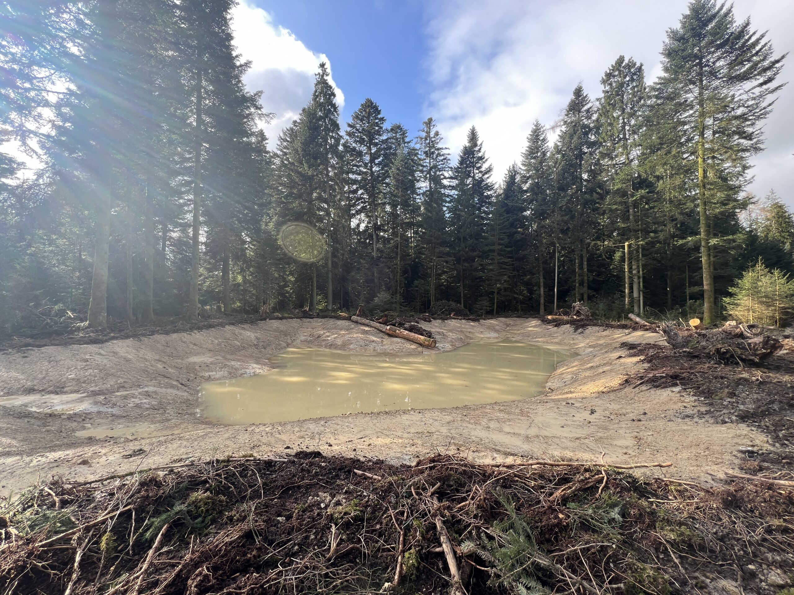 Ausbau Waldweiher 2026