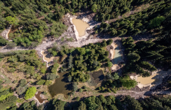 Einweihung Waldweiher 28. Mai 2026