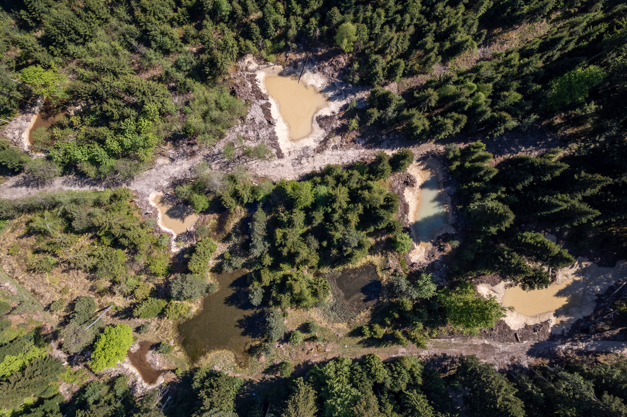 Einweihung Waldweiher 28. Mai 2026